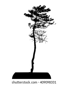 Tree Silhouette Isolated on White Background Vector Illustration. EPS10