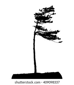 Tree Silhouette Isolated on White Background Vector Illustration. EPS10