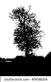 Tree Silhouette Isolated on White Background Vector Illustration. EPS10