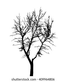 Tree Silhouette Isolated on White Backgorund. Vecrtor Illustration. EPS10