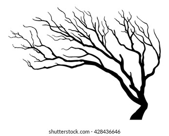 Tree Silhouette Isolated on White Backgorund.