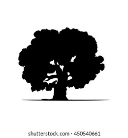tree silhouette isolated on white background