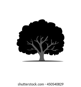 tree silhouette isolated on white background