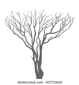 Tree silhouette isolated on white background