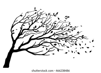 Tree silhouette isolated on white background
