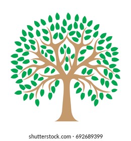 tree silhouette isolated on white background,