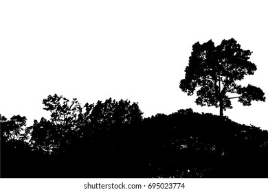 tree silhouette isolated on white background vector
