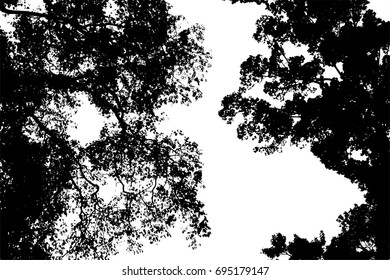 tree silhouette isolated on white background vector
