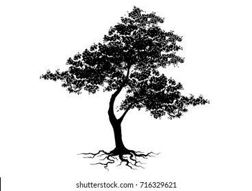 tree silhouette isolated on white background