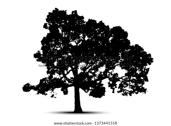 Tree Silhouette Isolated On White Background Stock Vector (Royalty Free ...