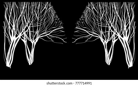 Tree silhouette isolated , vector illustration hand drawn. 