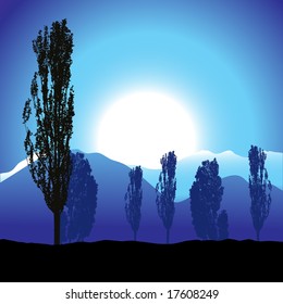 Tree silhouette, landscape
