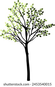 Tree silhouette for the landscape design. Entourage design. Vector illustration.