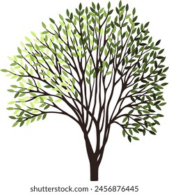 Tree silhouette for the landscape design. Entourage design. Vector illustration.