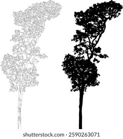 Tree Silhouette and Line Art Illustration