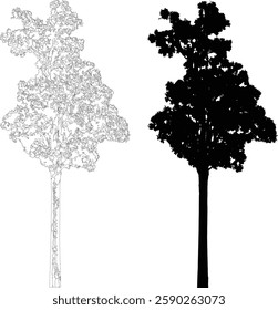 Tree Silhouette and Line Art Illustration