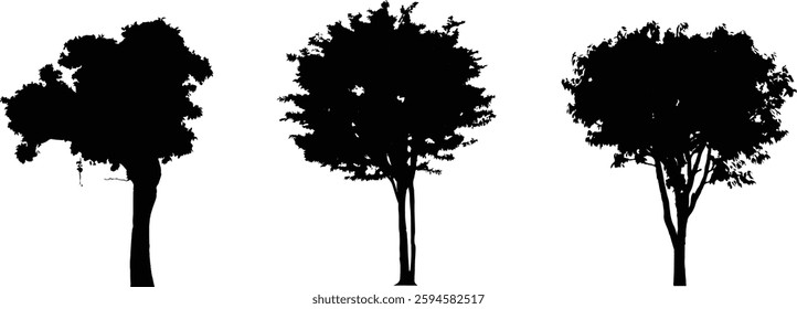 Tree Silhouette and Line Art Illustration