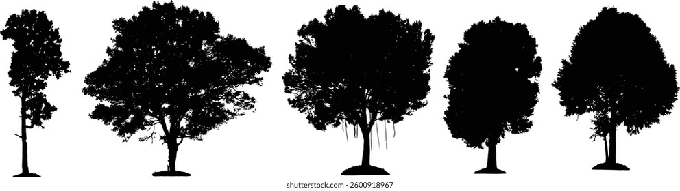 Tree Silhouette and Line Art Illustration