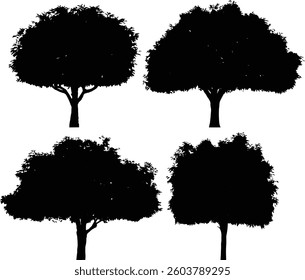 Tree Silhouette and Line Art Illustration