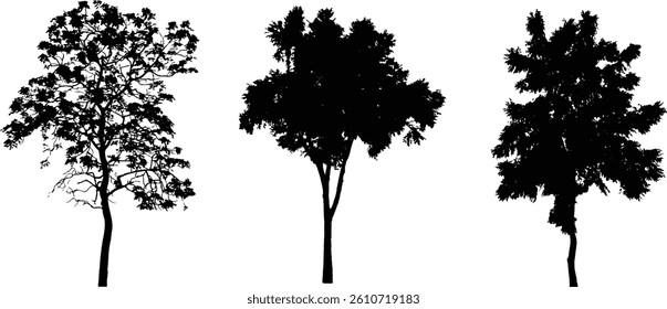 Tree Silhouette and Line Art Illustration