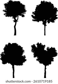 Tree Silhouette and Line Art Illustration