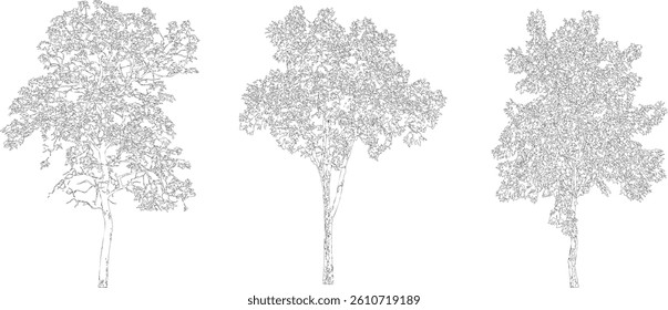 Tree Silhouette and Line Art Illustration