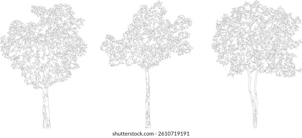 Tree Silhouette and Line Art Illustration