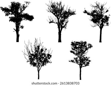 Tree Silhouette and Line Art Illustration
