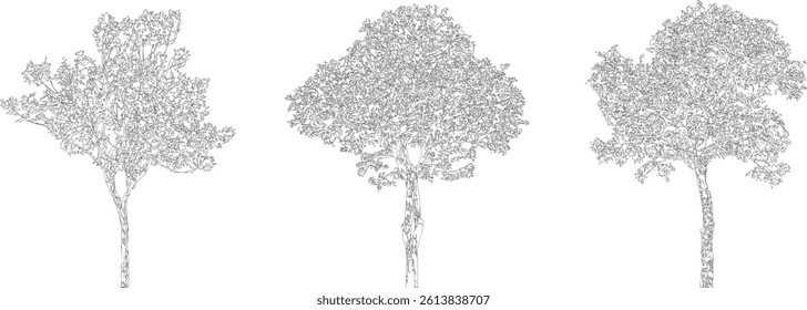 Tree Silhouette and Line Art Illustration