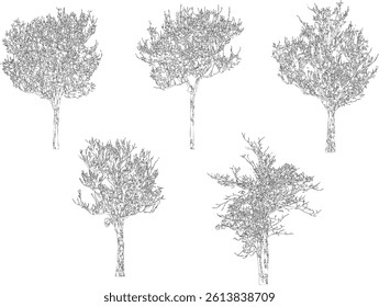 Tree Silhouette and Line Art Illustration