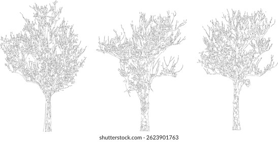 Tree Silhouette and Line Art Illustration