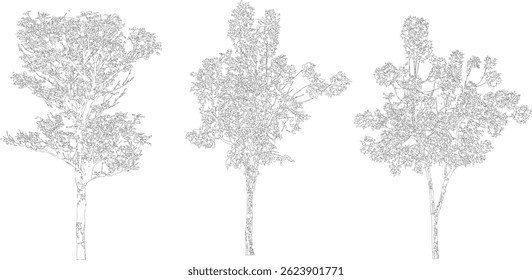 Tree Silhouette and Line Art Illustration