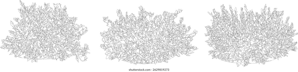 Tree Silhouette and Line Art Illustration
