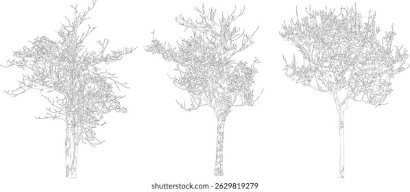 Tree Silhouette and Line Art Illustration