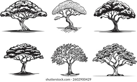 Tree silhouette line illustration set, tree element graphic set, vector illustration