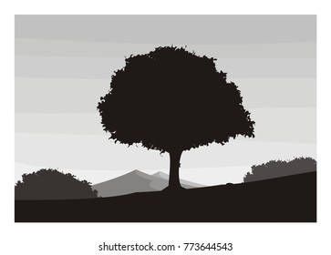 tree silhouette with mountain background