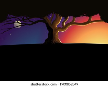 Tree silhouette at night and day. Silhouette of a lone tree against a beautiful sunset. Background nature vector illustration