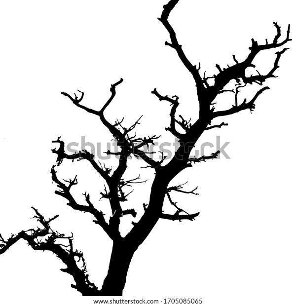 Tree Silhouette Oasis Landscape Red Rock Stock Vector (Royalty Free ...