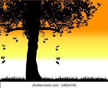 Tree silhouette old, grass, summer