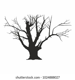 Tree silhouette on white background