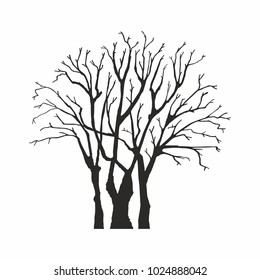 Tree silhouette on white background