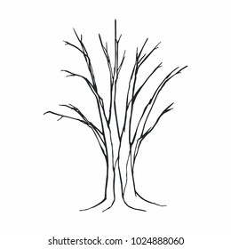 Tree silhouette on white background
