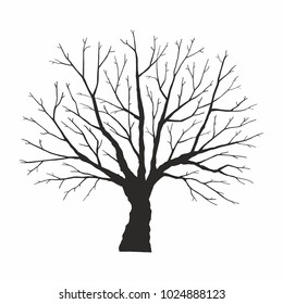 Tree silhouette on white background