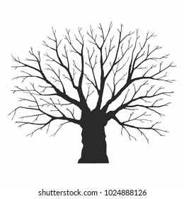 Tree silhouette on white background