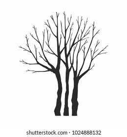 Tree silhouette on white background