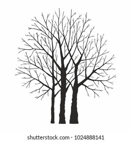 Tree silhouette on white background