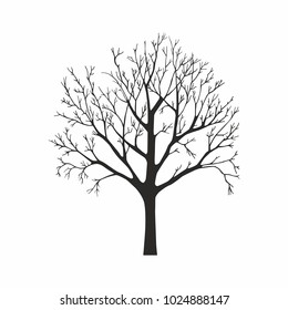 Tree silhouette on white background