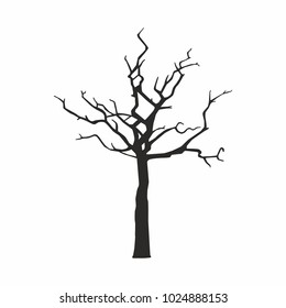 Tree silhouette on white background