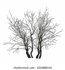Tree silhouette on white background