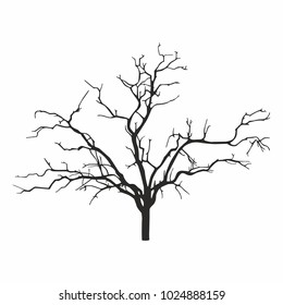 Tree silhouette on white background